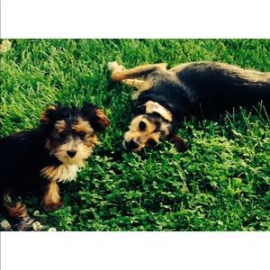 Meet your Posher, Andrea